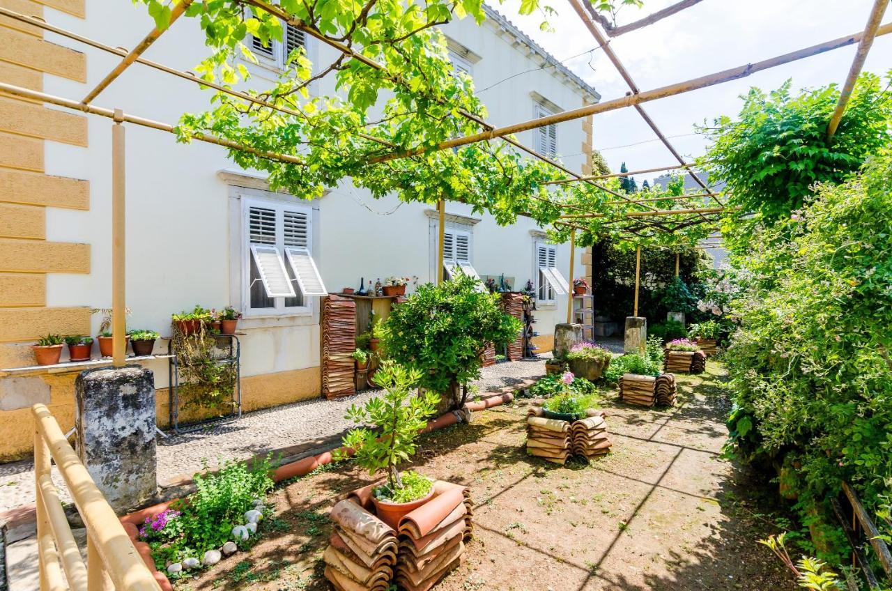 Guest House Ivana Dubrovnik Ngoại thất bức ảnh