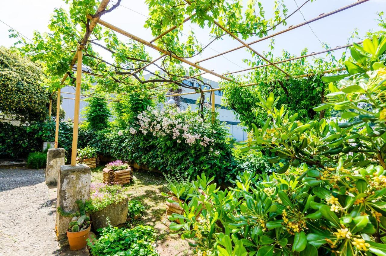 Guest House Ivana Dubrovnik Ngoại thất bức ảnh
