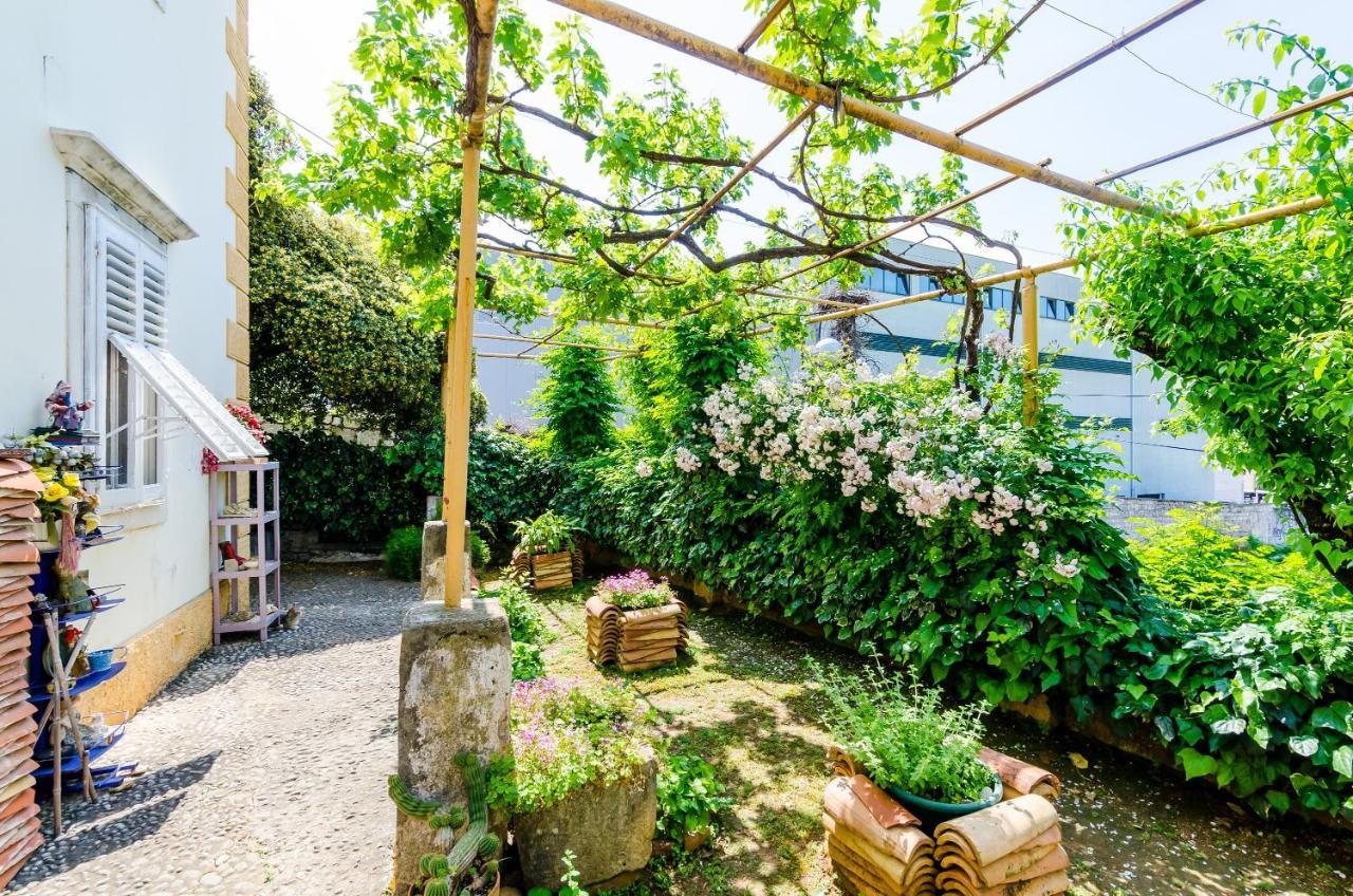 Guest House Ivana Dubrovnik Ngoại thất bức ảnh
